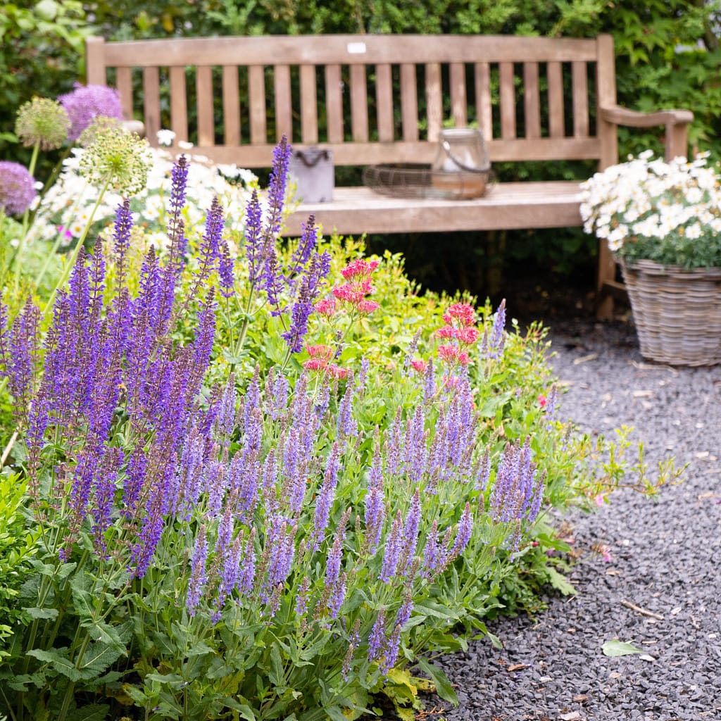 Bienenfreundlicher Garten