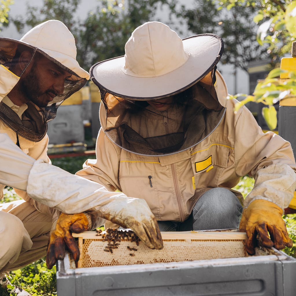 Imkern auf Probe in Dingolfing Landau